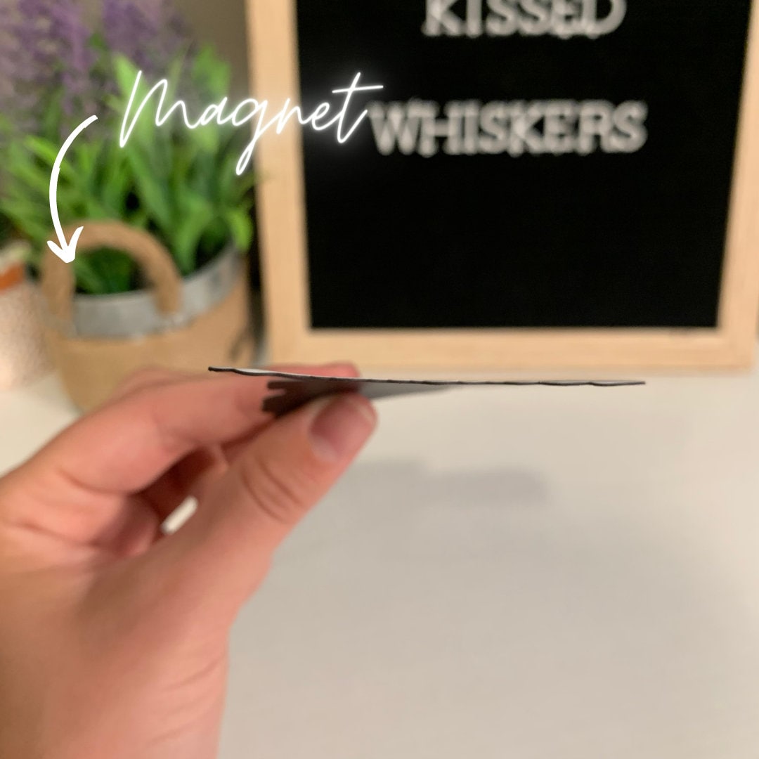 The Anti-People Magnet