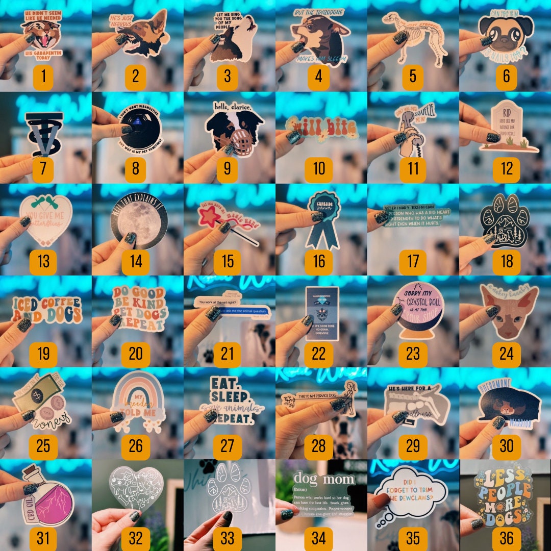 Build Your Own Veterinary Gift Box